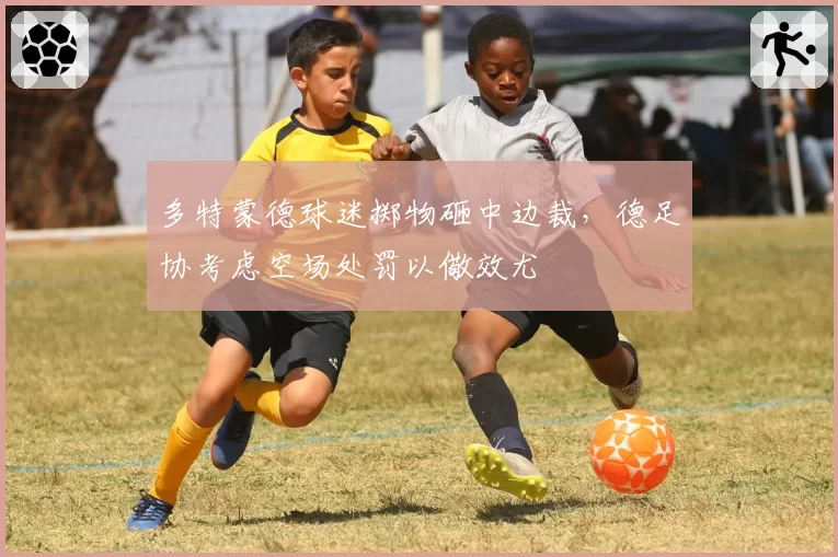 多特蒙德球迷掷物砸中边裁,德足协考虑空场处罚以儆效尤